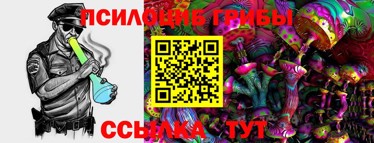 Богородск  дарнет шоп  Вход с VPN  Галлюциногенные грибы мухоморы 
